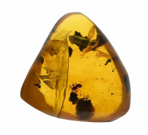 Arachnid Spider Fossil Inclusion in Burmese Amber (1612)