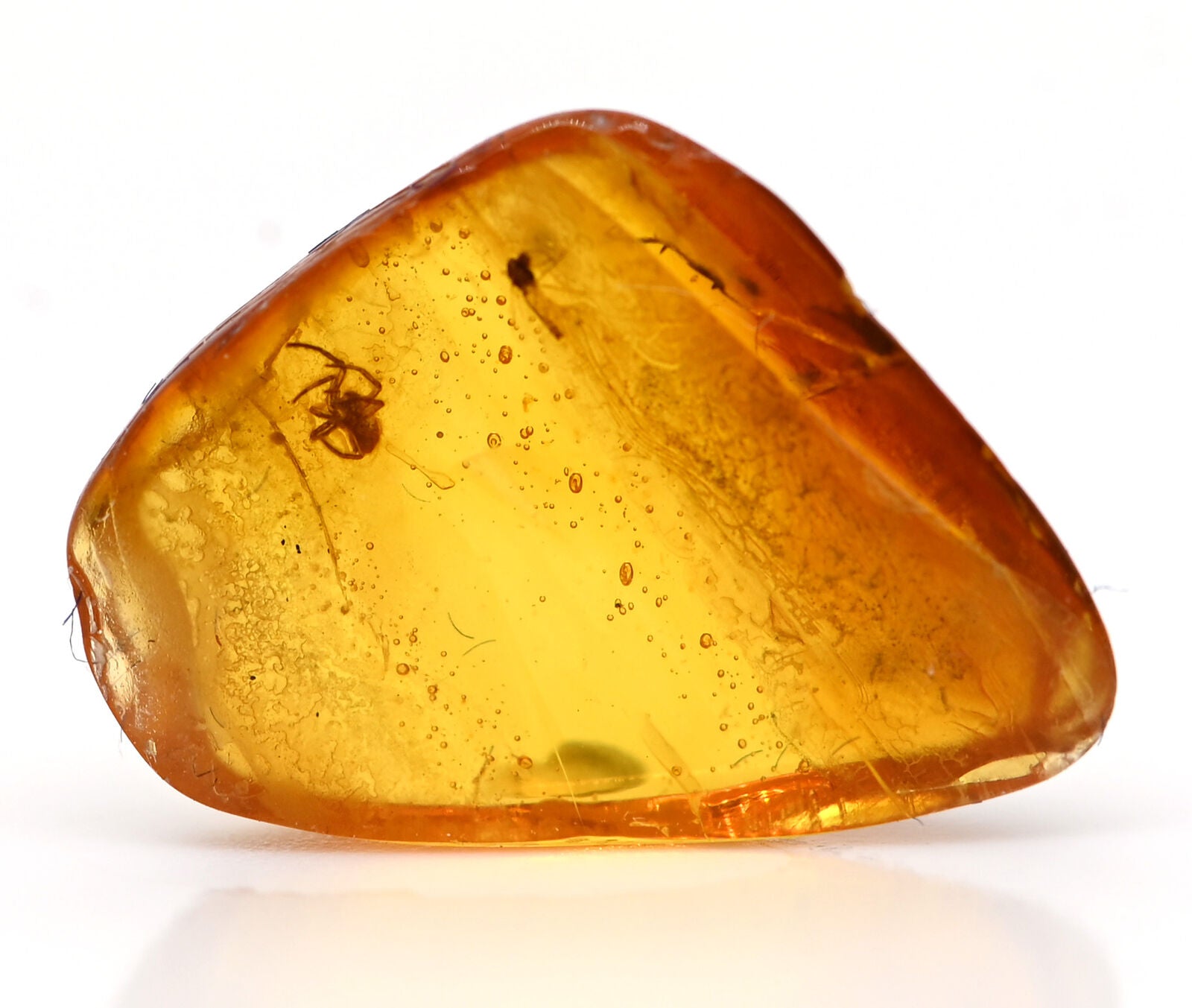 Arachnid Spider Fossil Inclusion in Baltic Amber (3404)