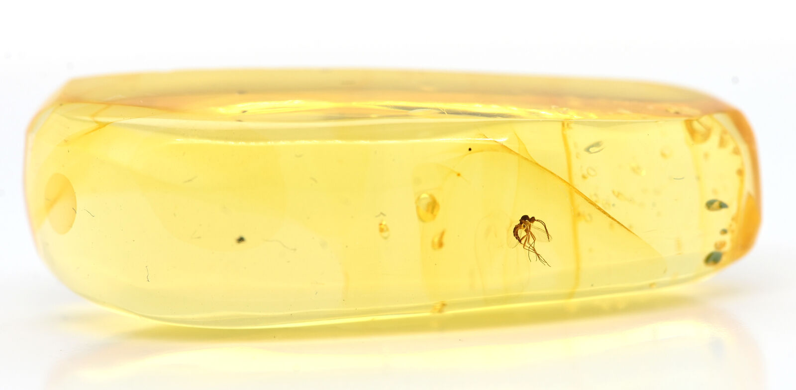 Nematocera Gnat Fossil Inclusion in Dominican Amber (3460)