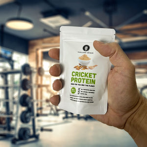 2 Pack's Edible Cricket Powder 100g Bag *Special Offer*