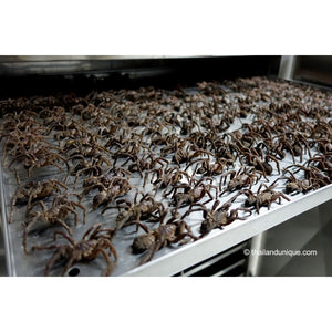 2 Pack's Cooked Edible Tarantulas (Haplopelma albostriatum) *Special Offer*