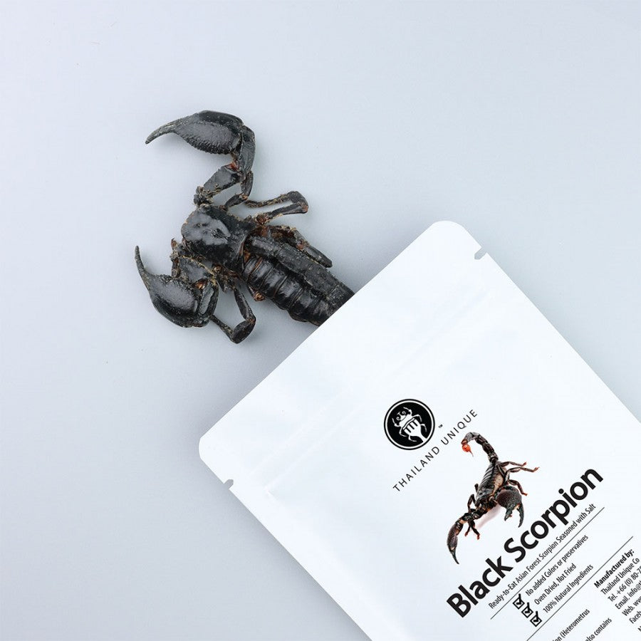 2 Pack's Cooked Edible Large Scorpions (Heterometrus Longimanus) *Special Offer*