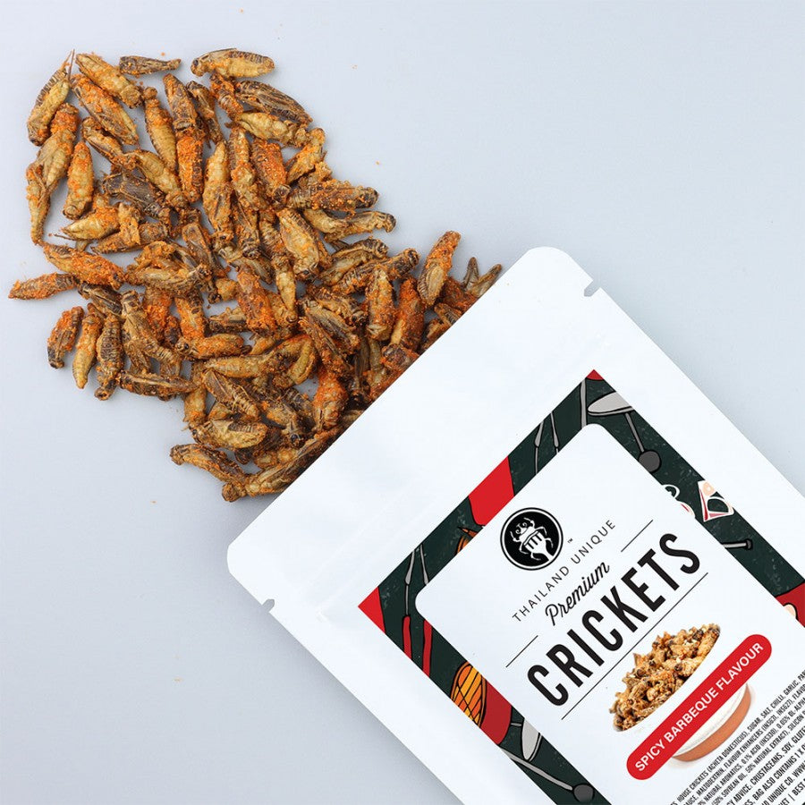 3 Pack's Cooked Edible Crickets (BBQ) 15g *Special Offer*