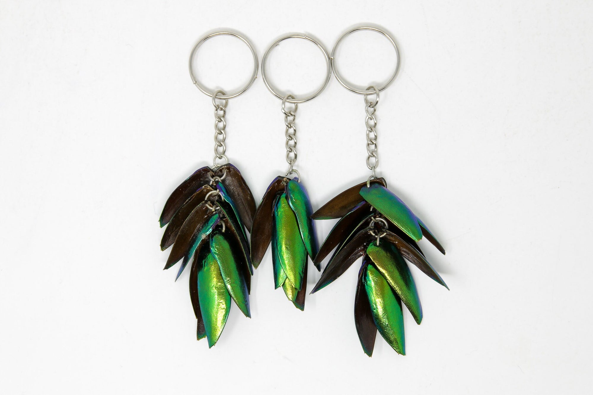 THREE (3) Jewel Beetle Keyrings - Real Metallic Green Beetle Wings Elytra Taxidermy Art Jewelry