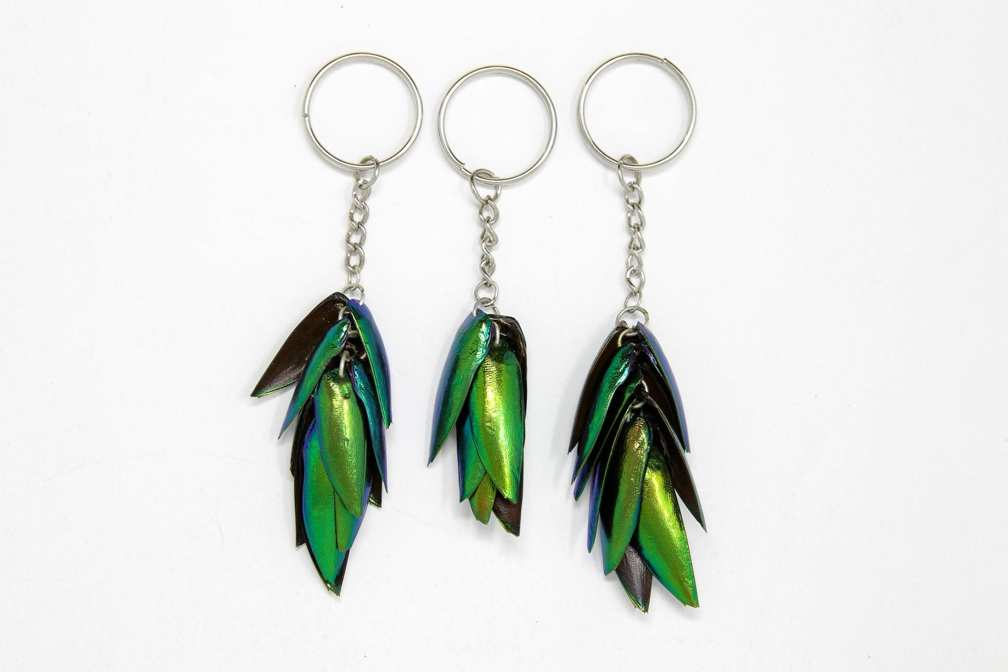 THREE (3) Jewel Beetle Keyrings - Real Metallic Green Beetle Wings Elytra Taxidermy Art Jewelry