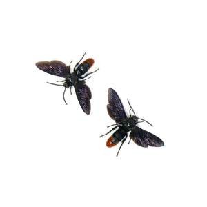 TWO (2) SPREAD Samber Mammoth Wasps (Megascolia azurea christiana) 'Scoliid Wasp' A1 Wings-open